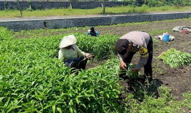 Bhabinkamtibmas-Desa-Kedungboto-Dampingi-Warga-Kembangkan-Lahan-Produktif-untuk-Ketahanan-Pangan